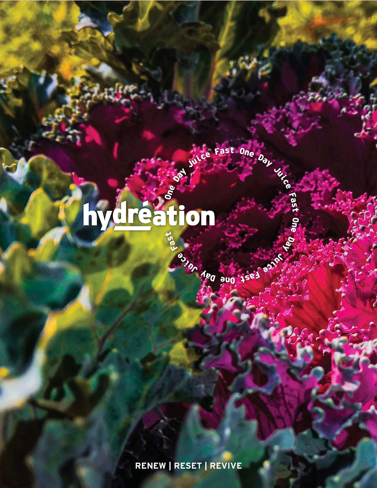 DIY 1 Day Juice Fast Guide