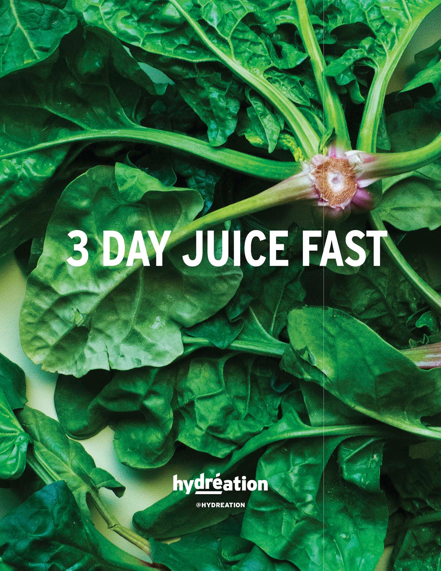 3 Day Juice Fast